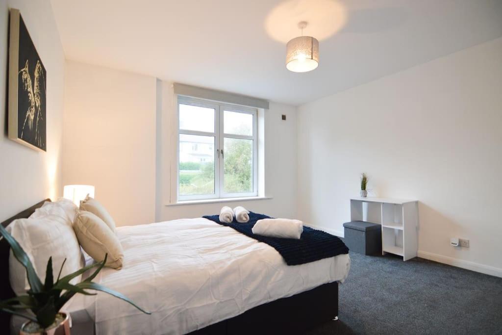 Contemporary 3 Bedroom Flat 柯科迪 外观 照片